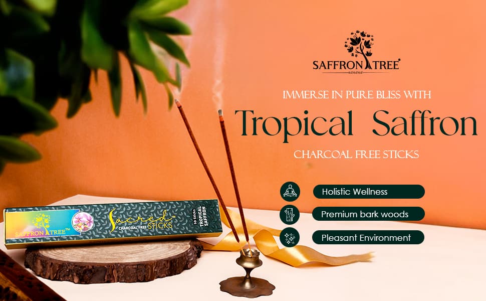 Sacred Sticks Tropical Saffron  ( Pack of 3 ) Saffron Tree