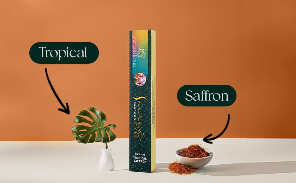 Sacred Sticks Tropical Saffron  ( Pack of 3 ) Saffron Tree