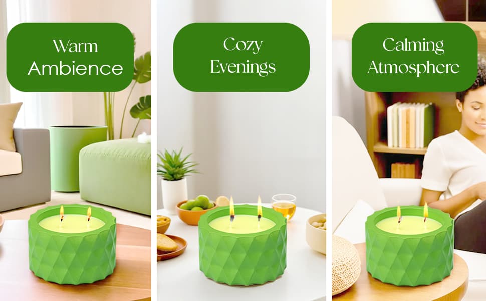 Saffron Tree Cozylights Forest Bamboo & Fig  Saffron Candle- 170Gm Saffron Tree
