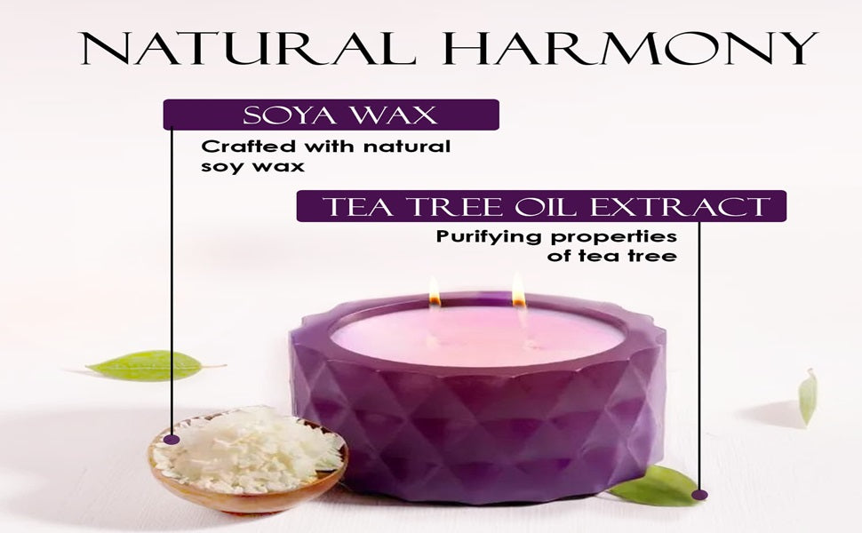 Saffron Tree Cozylights Tea Tree Saffron Candle-170Gm