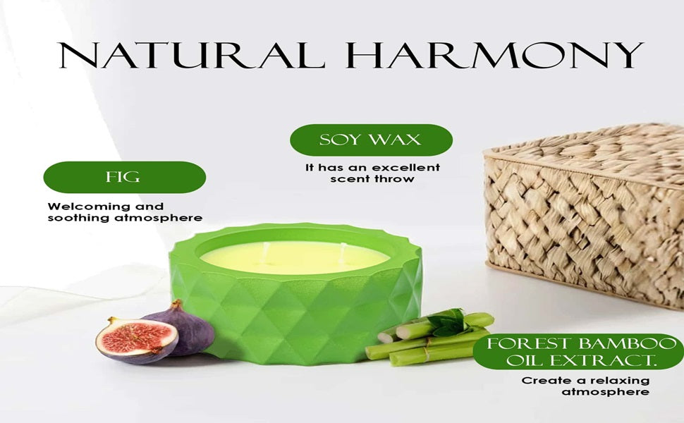 Saffron Tree Cozylights Forest Bamboo & Fig  Saffron Candle- 170Gm Saffron Tree