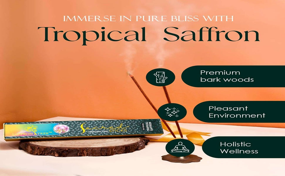 Sacred Sticks Tropical Saffron  ( Pack of 3 ) Saffron Tree
