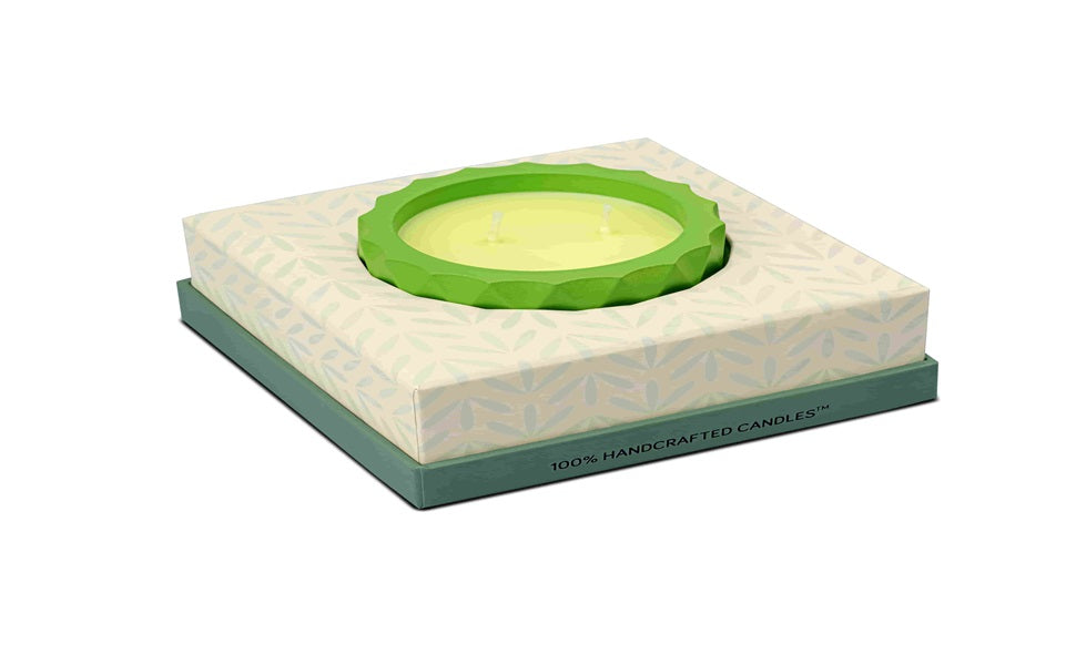 Saffron Tree Cozylights Forest Bamboo & Fig  Saffron Candle- 170Gm Saffron Tree